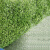 巨成云 仿真人造草坪地毯 塑料假草皮 绿植绿色地毯 单色草 25针绿布草高1.5cm 宽2米*长25米【无背胶】