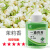斯铂格 BGS-51 一滴香 厕所空气清新剂卫生间香薰室内除臭香氛50ml  柠檬香