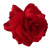 慕思语（MUSIYU）春季款式甜美红色大花朵鸭嘴夹简约清新少女侧边发卡刘海夹饰品夹 红色花朵发夹2个