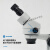 新讯双目主板体视显微镜 7-45倍焊接变焦 手机维修连续高清放大镜 三目7-45 X 连续变焦 SZM45T-B1