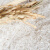 山茶果 山泉稻永修香米大米新米软糯丝苗米长粒粳米非转基因 自留种种植 永修香米5KG礼盒装