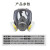 仁聚益防护面罩6800 全面型面具全面罩 防多种气体 6800+6003七件套
