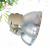 和谱森 通用于Benq/明基投影仪灯泡NP622,EN6120,VH580ST高亮度原装灯泡 原装灯泡（下单请备注机器型号） R21 RW30CA I920JD