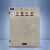 立阳 LY02-TK-9标准箱排污泵一用一备7.5KW 明装  600*500*250 2.0mm 1 