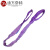 迪万奈特 柔性环形吊带多规格大吨位工业起重吊带高强度柔性涤纶吊装带 1T*8M紫色 