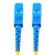 东电通信（DODEM） SC/UPC-SC/UPC-SM-2.0-1M 易损耗辅材 电信级 1米