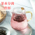 花果茶壶水果套装煮茶炉养生壶玻璃小茶杯英式下午茶茶具套装 0.8L 锤纹壶