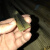 钢板防护罩铜滑道耐磨黄铜机床铜条铜滑道数控机床铜滑轨耐磨铜片 4X20铜滑片（2米）