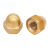 天坚五金 黄铜盖形螺母盖型螺帽铜螺丝帽盖母装饰帽M3-M20 M16 (1个)