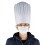 大杨396一次性无纺布加厚厨师帽 200顶 29*29cm 80g纤白高圆帽 厨房工作帽 