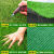 仿真草坪地毯人工假草皮户外铺垫人造塑料草绿色围挡足球场幼儿园 2.5厘米特密款4米宽x3米长