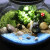 喵小杏微观苔藓多肉植物微观苔藓多肉绿植物玻璃微景观组合盆栽 生态瓶d 13.5*13.5cm海滩龙猫带灯