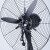 康格雅 工业电风扇落地扇 强力大风量牛角扇商用风扇 750落地（铜电机 3米线 塑钢叶）