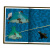 猫咪与飞蛾的奇幻之旅 海豚绘本花园硬壳精装