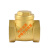 铜止回阀水管水泵用逆止阀自来水单向阀 特大DN15(软密封)(1/2)(4分)