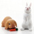 TAKARA TOMY多美卡安利亚野生动物园儿童过家家玩具仿真模型-白兔（带萝卜）