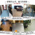 HENGTA【实心全塑】商用PVC地板革加厚耐磨塑胶地板贴家用水泥地胶 灰橡木丨每平米