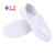 紫羲（ZXFH.NET）生产加工用防静电网面鞋 白蓝色PVC帆布两孔网眼鞋防静电工作无尘鞋 工作鞋 白色网面鞋+10双 44码