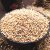 乾璟记5斤装红高粱米东北农家自种去皮食用红高粱米饭新米粗粮五谷杂粮 5斤