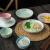 IJARL 亿嘉碗碟日式创意手绘碗盘餐具套装陶瓷碗盘碗筷厨房餐具组合 樱花系列 12件套