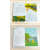 小学生彩绘注音版名著爱心故事：爱的教育+绿野仙踪+小王子+秘密花园（共4册）智慧熊图书