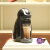 雀巢多趣酷思 胶囊咖啡机家用全自动小型 升级款Genio黑色 办公室 (Nescafe Dolce Gusto)