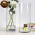 豪斯特丽（HOSTLY）直筒透明玻璃花瓶 特大号客厅摆件 富贵竹玫瑰百合插花平光花瓶 直径20高60