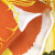 玛丽亚.古琦（MARJA KURKI）方巾 明智的选择 桑蚕丝 手工卷边 欧美风 优雅女士丝巾 黄色 1X120204