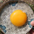密农人家新鲜土鹅蛋 农家散养鹅蛋 粮食喂养鲜鹅蛋 现捡月子蛋 孕妇 6枚