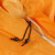 谋福 多功能连体防护服 防尘服防雨服  粉末喷漆打磨工业工作服 橙色 大XL-175
