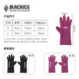 黑冰（BLACKICE）冬季户外露营加绒可触屏弹力保暖手套男女款Z2303 黑色 L