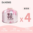Dr.HOWS韩国户外扁便携式户外高原高山野外野炊气罐 高山粉230*4