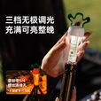 black dog黑狗萝卜灯帐篷灯户外野营灯超长续航充电灯防水露营灯氛围灯 胡萝卜-氛围挂灯【送S型挂钩】