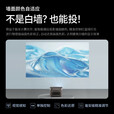 极米投影仪家用智能4K激光电视3D高清1080P无线 办公民宿酒店足浴 极米 RS 10MINI