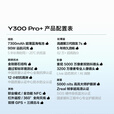 vivo X300 Pro 16GB+512GB 天玑9500 店内选购】 24期 免息 2025新品Y300 Pro+ 7300mAh超薄蓝海电池   简黑12GB+256GB 6期免息+半年店铺延保版
