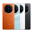 vivoX100 pro  5G手机 大电池5400mAh蔡司APO长焦100W闪充  vivoX100 pro 落日橙 16GB+512GB 单机+第三方品牌快充