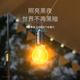 【露营家用】led灯泡停电应急超亮户外可充电夜市摆摊露营灯 【300毫安】节能/高亮 3档调节+持久续航