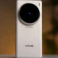 vivo X100 Ultra展机1英寸长焦拍照游戏智能商务通手机赠送运费险详询客服 钛色 16GB+1TB