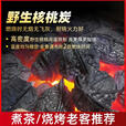 尊凡核桃木炭烧烤碳围炉煮茶碳无烟耐烧碳家用茶道烧水烧烤野山核桃炭 【秦岭珍品】50克碎炭秦岭野生核桃烧烤炭