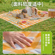 探险者（TAN XIAN ZHE）防潮垫户外帐篷垫子防水布铝箔野餐垫子地铺垫沙滩垫多人加宽  【加厚绿白格野餐垫】200*180cm