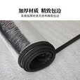 探险者（TAN XIAN ZHE）防潮防水户外露营加厚垫子家用打地铺地垫加厚沙滩垫野餐垫子 【加厚双面4MM】200*300cm