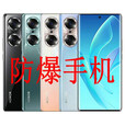 荣耀honor/荣耀 60PRO定制版防爆手机12+256G高配 2CT4石油化工天然气加油站5G全网通 60PRO防爆 8G+ 256G