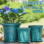 漫生活 2加仑花盆2只装青山(含托盘)口径20.6cm高20.6cm家用阳台植物控根花卉绿萝绿植塑料圆形盆(可装6升土)