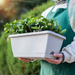 芷郁 花盆种菜盆家庭园艺种植阳台蔬菜种植盆长方形花盆 特大号灰白色49.5X19X16CM