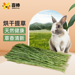 喜帅 兔子提摩西草500g 精选烘干北提 提草龙猫兔粮荷兰猪主粮 磨牙零食 饲料牧草兔草干草