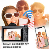 松典DC201 数码照相机单反卡片相机微单小型傻瓜入门级学生家用高清 标配 32G【送4重礼】 标配