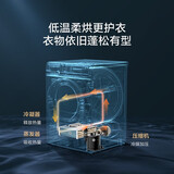 小天鹅 (LittleSwan) 洗烘套装 (TG100RFTEC-T61C+TH100-H36WT) 10kg变频滚筒洗衣机+10kg热泵烘干机超微净泡