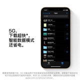 Apple iPhone 12 Pro Max (A2412) 256GB 石墨色 支持移动联通电信5G 双卡双待手机
