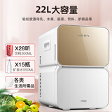 新飞（frestec）车载冰箱22L宿舍办公室迷你冷藏小冰箱车家两用便携式母乳化妆品冷暖箱
