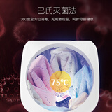 美菱（MeiLing）家用消毒杀菌宝宝婴儿衣物干衣机/烘干机静音速干风干机 浅蓝色MD-601